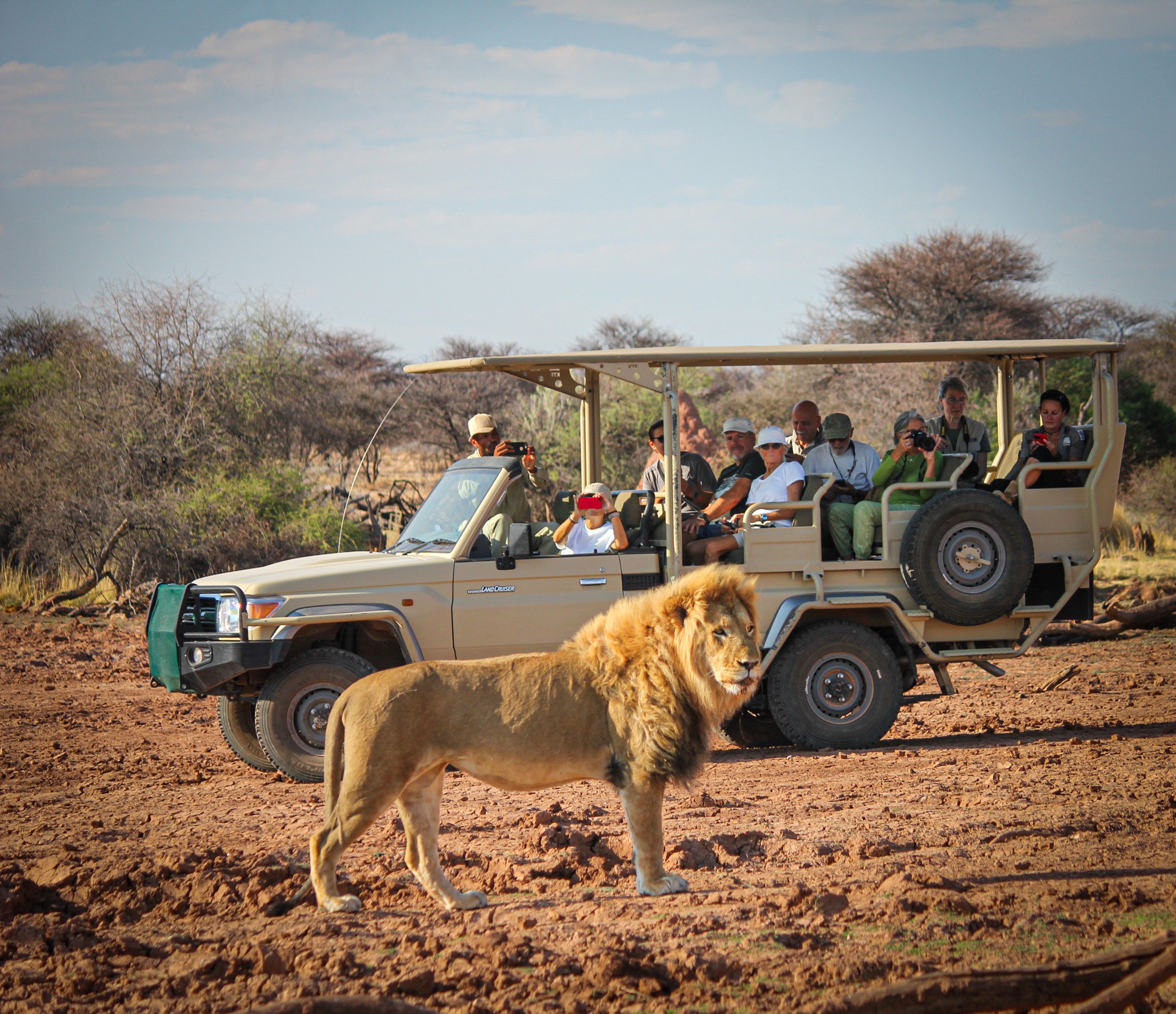 Mount Etjo Game Drive Activity