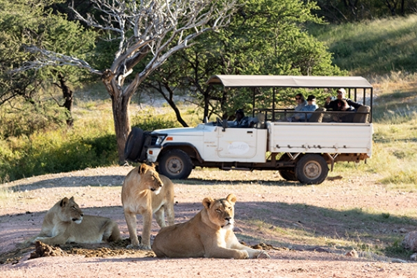 Game Drive